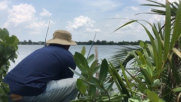 Câu cá ngát sông Cần giuộc, lâu rồi mới có được cảm giác này