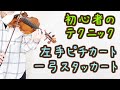 一弓スタッカートと左手ピチカート！バイオリン初心者におすすめの2曲【美桜】