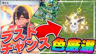 【神引き！】変幻の仮面からゼイユSARが出ないと全て色厳選！？Part1【パック開封】【ポケモンSV】