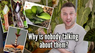 Untrendy & underrated: Plants my subscribers actually want to grow