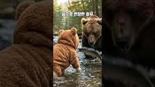 강아지가 곰으로 변장한 이유