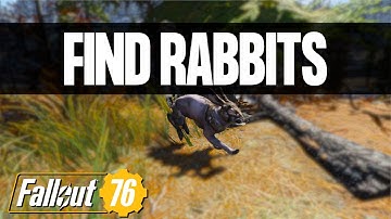 Find Fallout 76 Rabbits With Ease | Daily Challenge Location