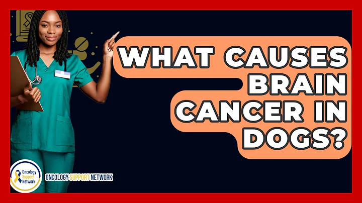 What Causes Brain Cancer In Dogs? - Oncology Support Network
