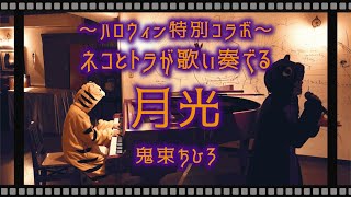 【ハロウィン特別コラボ】月光／鬼束ちひろ【着ぐるみで熱演】伴奏は生ピアノだけ！ものまね風に歌ってみた！covered by あさぴ(朝香智子)×黒猫ルック(from日ノ出サンデーズ)