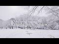「Etude in a Snow」Eri Ohashi (Glassharp) | 大橋エリ(グラスハープ)
