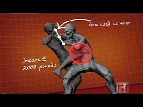 Human Weapon   Silat   Sinking Python