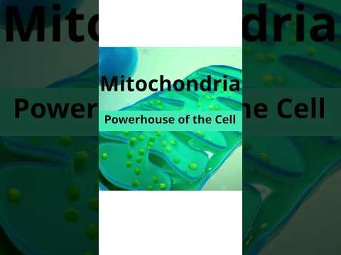 Video: May mitochondria ba ang mga selula ng halaman at mga selula ng hayop?