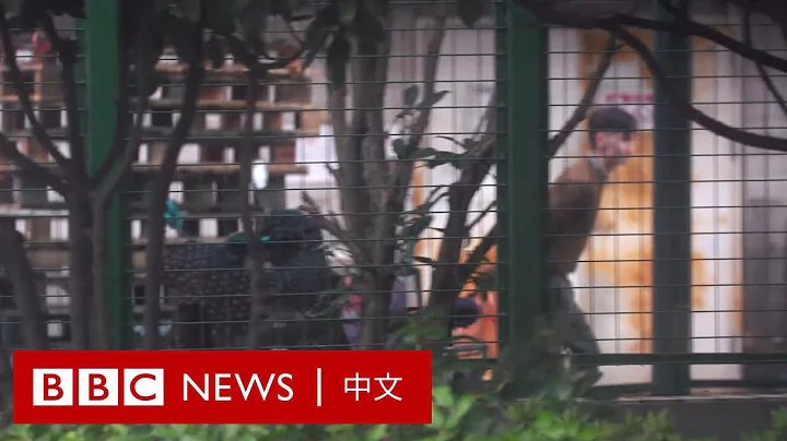 中國智庫報告自揭新疆轉移就業背後的「同化」企圖 － BBC News 中文 - 天天要聞