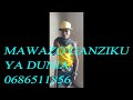 MAWAZO GANZIKU SONG YA DUNIA 0686 511 856 MAWAZO GANZIKU SONG YA DUNIA 0686 511 856