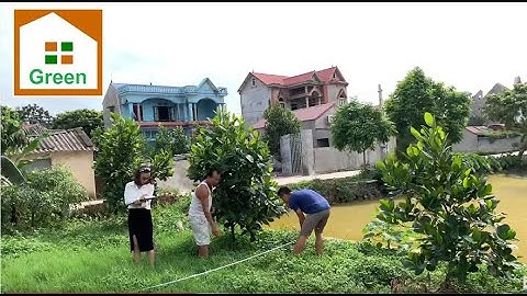 Phần 4 : Khảo sát khu vườn để xây nhà vườn đẹp tại Yên Dũng Bắc Giang