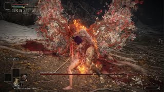 ELDEN RING: Malenia RL1 +0 No Hit (No Weapon Upgrades, No Aux, Solo, Caestus)
