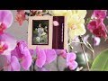 Sakura Zaka 桜坂 by Jiang Xiaoqing &amp; Fei Jianrong - Relaxing Music