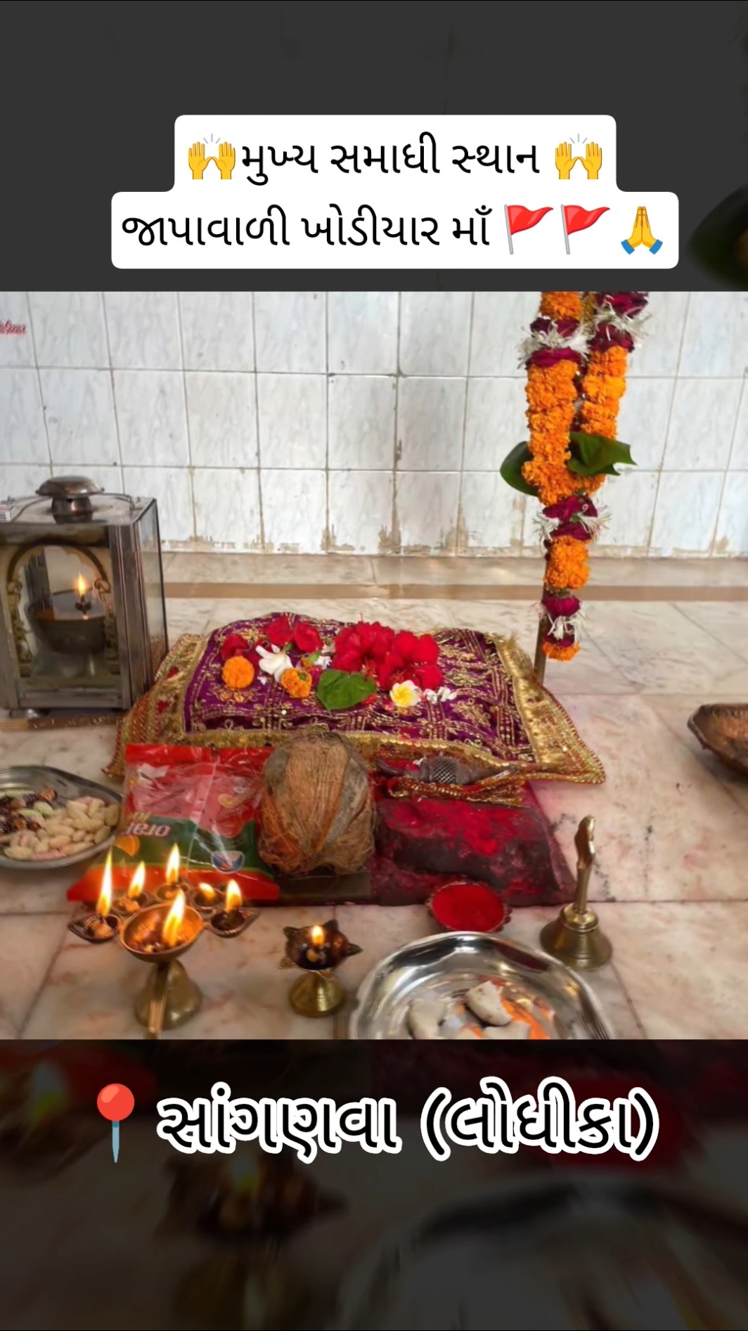 🎬 ટ્રેન્ડિંગ વીડિયો - ShareChat