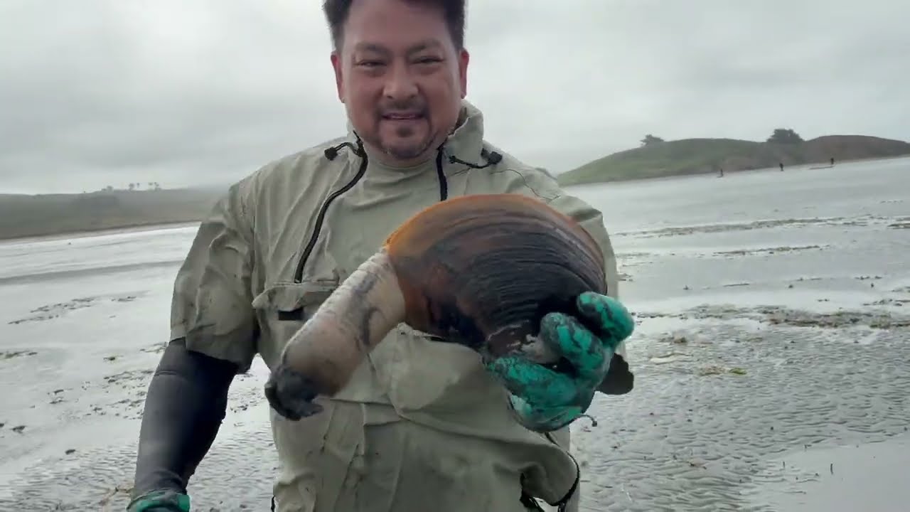 Clamming In The North Bay Area California: Lawson's Landing