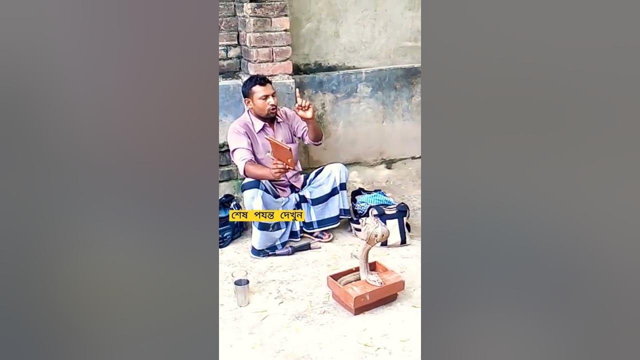 how do snakes bite humans short sankes YouTube