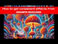 How to Get Consistent Effects from Amanita Muscaria | Alkaloid Variation Explained