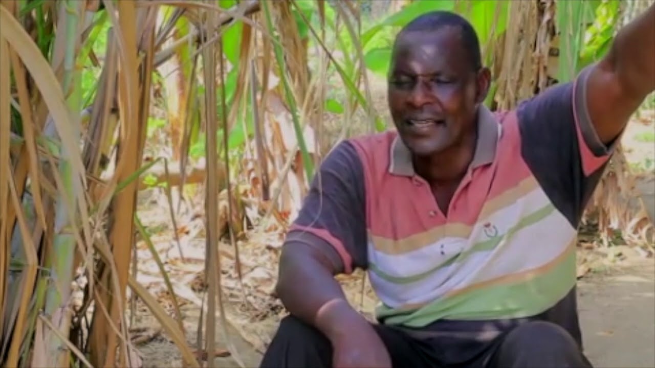 Baba Uhula by ALDO & EUMIN WORSHIPERS (Lord you hear me)