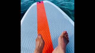 While paddle boarding look what I saw.. #seaturtle #ocean #hawaii #waikiki #paddleboard 😳🫢🫣