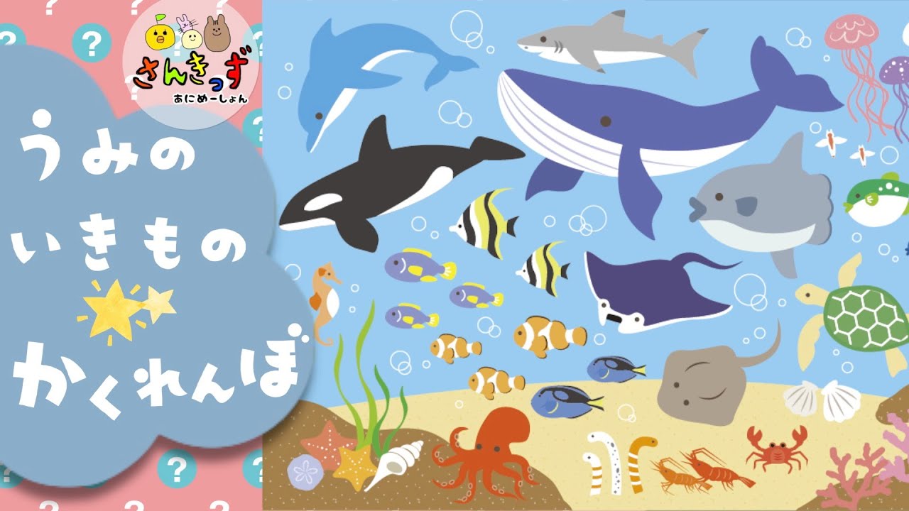 【子供向け 水族館アニメ】海の生き物 かくれんぼ☆隠れているうみのいきものを探してみよう★水族館にいる生き物がいっぱい♪サメ イルカ クジラ シャチ 【海の生き物 知育アニメ】