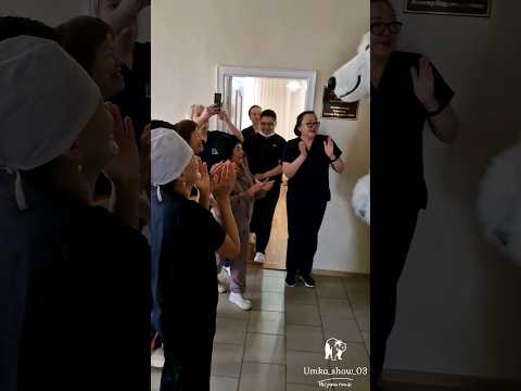 Медведь в больнице собрался весь персонал🤩 #shorts