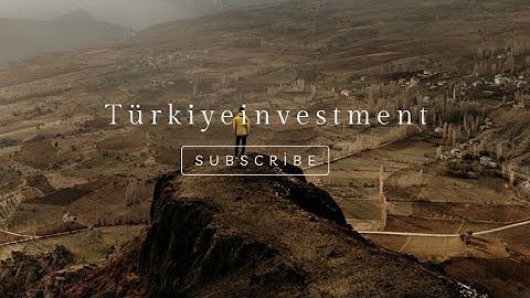 Regenerative Organic Farming: How This Orchard Restores Soil, Water & Life Naturally!