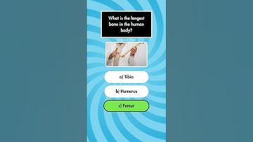 General Knowledge Quiz Part 15