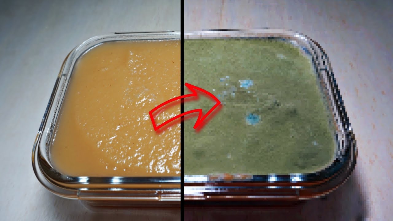 Watch Mold Grow on Applesauce Timelapse YouTube