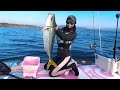 【青物連発】サップで沖に出るとそこは青物のパラダイスでした
