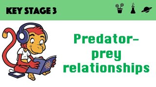 Predator Prey Relationships