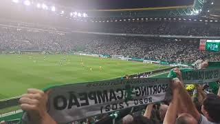 Sporting CP / Boavista  2024