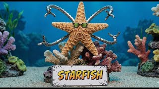 From Drift to Star | The Complete Life Cycle of a Starfish | Forest FM #starfish