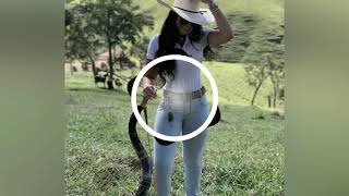 Os Barões da Pisadinha - Bebê vêm me Procurar