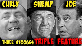 THREE STOOGES Fight Themed TRIPLE FEATURE  CURLY, SHEMP and JOE!