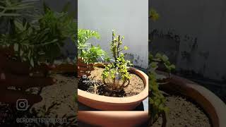 Turning waste into green magic 🌱♻️ DIY done right ✨ #diy #diykeychain