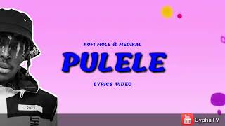 Kofi Mole - Pulele ft Medikal (Lyrics Video)