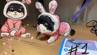 A Cat In Rabbit Skin???????????? Constructor Part 1