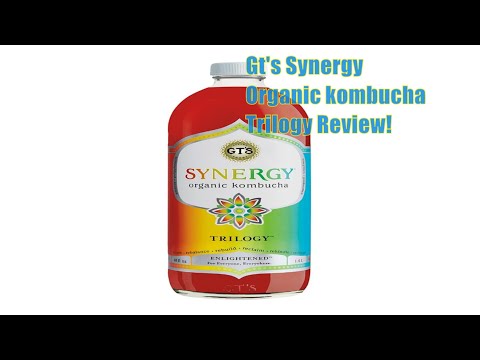 Review of GT's  Synergy Organic Kombucha Drink