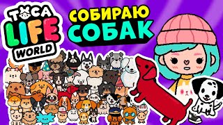 :         Toca Life world
