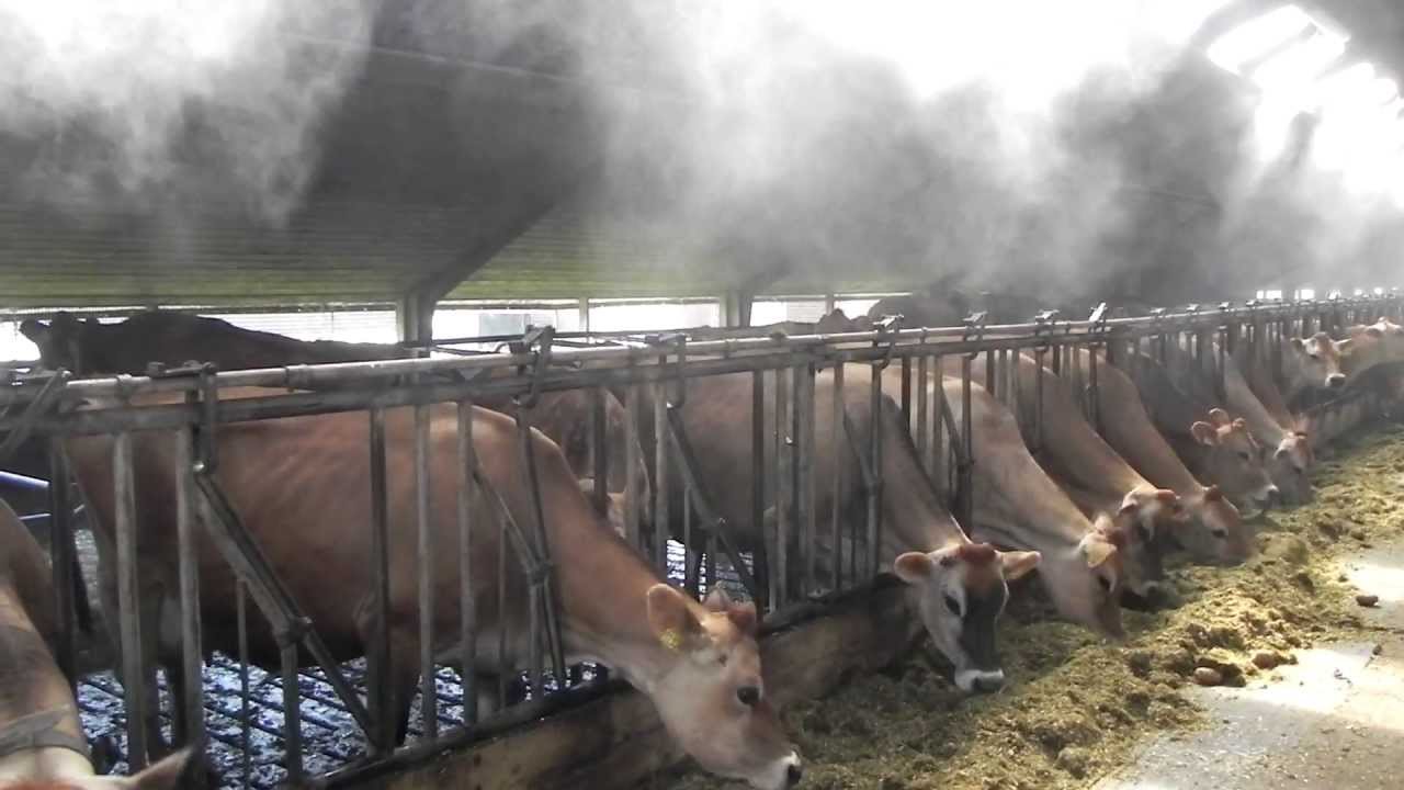 Ventilation og foderanlæg