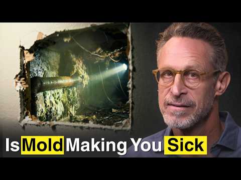 Brain Fog, Fatigue, and Anxiety: Could It Be Mold?