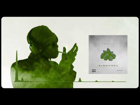 EMKAY64 MAMBICHWA (VISUALIZER)