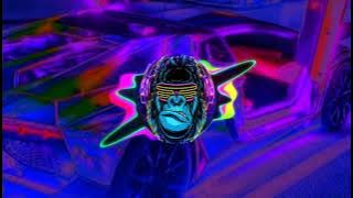Viral Di tiktok Dj ERASE YOU x PAPALI BAGI BAGI DOSA SLOW REMIX.mp3