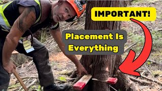 Wedging Trees, Things To Watch Out For