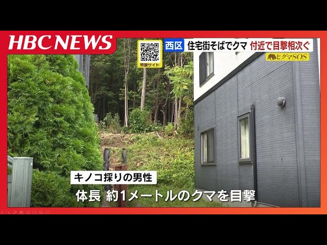 クマ情報】「茂みからぬーっと出てきた」札幌市西区の住宅街近くで目撃
