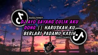 DJ HARUSKAH KU BERLARI PADAMU KASIH || AYO SAYANG CULIK AKU DONG