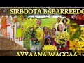 Sirboota ayyaana waggaa Afan Oromo   nonstop Holiday  music