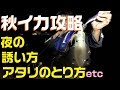 【秋エギング】入門編夜のアタリのとり方、誘い方など解説！初心者オススメ秋イカ狙いで差をつけよう。フィールドスタッフの攻略法