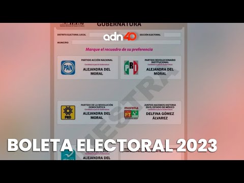 Conoce la boleta