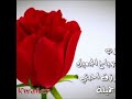 يا وردتي يا زكيه روحي لمتابعيني هاديه