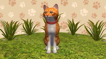 Cat Simulator 2020 - Gameplay Android, iOS
